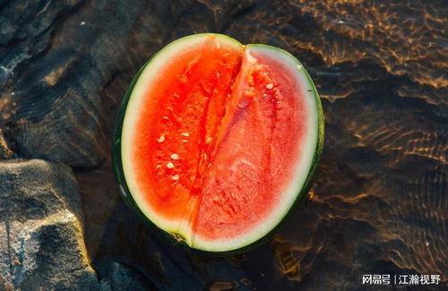 孕妇吃田瓜牛角瓜,田瓜牛角瓜，营养美味两不误