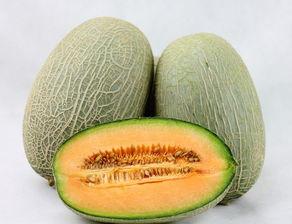 哈密瓜吊瓜怎么吃最好,哈密瓜吊瓜美味食法大揭秘