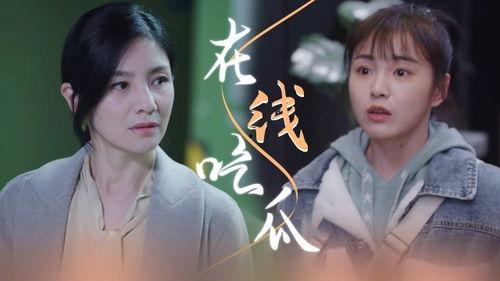 吃瓜玲姐小说,揭秘娱乐圈背后的秘密风云