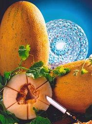 自闭症患者吃哈密瓜好吗,自闭症患者食用哈密瓜的益处与注意事项