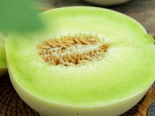 圆玉瓜怎么吃,解锁美味新体验