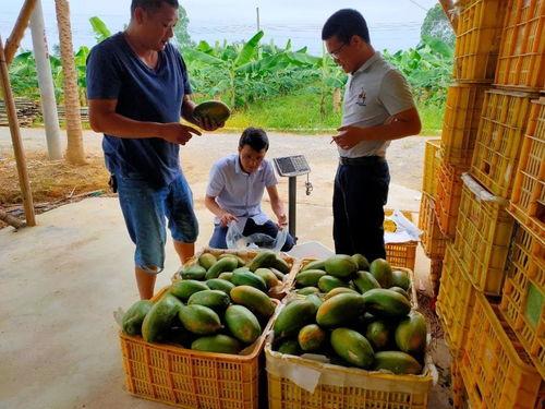 做个安静的吃瓜群众