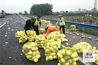 吃瓜视频河南实验,揭秘吃瓜视频背后的秘密