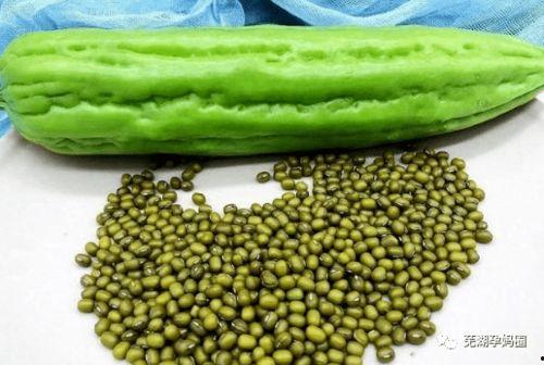 坐月子可以吃凉瓜吗,凉瓜食用指南