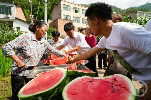 吃瓜热闹霍衍,吃瓜热闹背后的风云人物