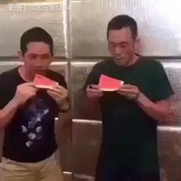 吃瓜游戏解说视频,揭秘吃瓜游戏解说视频背后的趣味与智慧