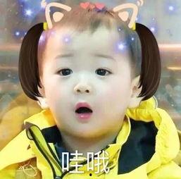 宋宝宝吃瓜表情,揭秘娱乐圈幕后风云