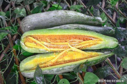 网红yvonne吃瓜,一场吃瓜盛宴背后的故事