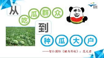 教书吃瓜,校园里的趣味生活点滴