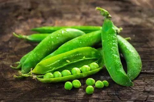 每日吃瓜得豆,揭秘吃瓜得豆的奇妙之旅