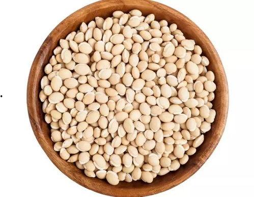 每日吃瓜得豆,揭秘吃瓜得豆的奇妙之旅