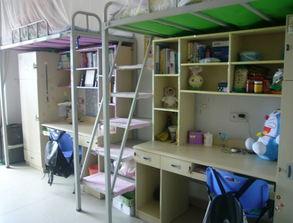 宿舍上铺吃瓜,揭秘宿舍生活的趣味瞬间