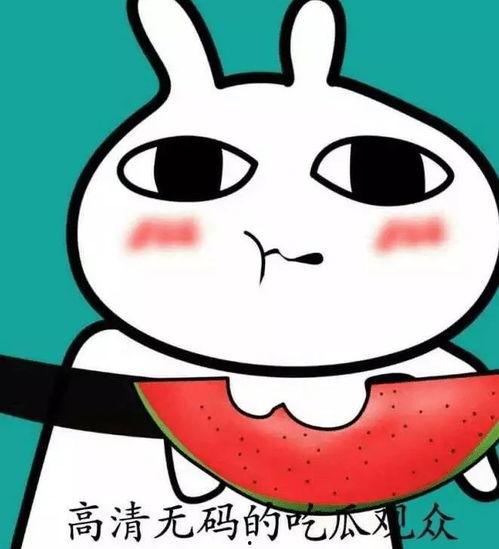 带你吃瓜满脸问号,揭秘满脸问号的背后真相