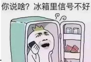 带你吃瓜满脸问号,揭秘满脸问号的背后真相