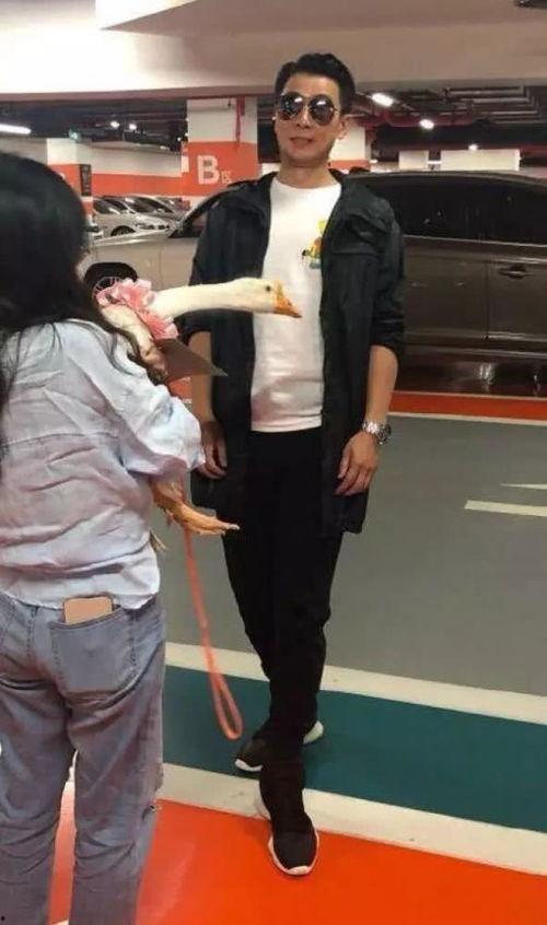 保剑锋吃瓜,揭秘娱乐圈幕后真相