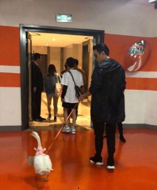 保剑锋吃瓜,揭秘娱乐圈幕后真相