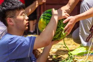 带你吃瓜猛男,带你领略“吃瓜猛男”的独特魅力
