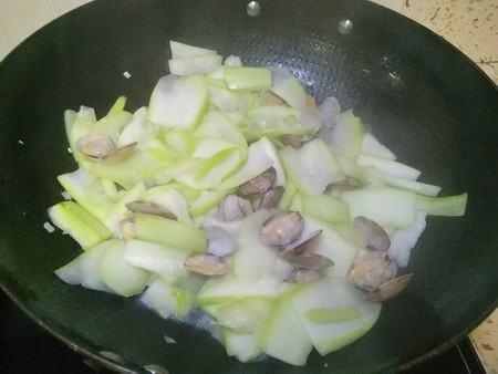 瓠瓜可以炖肉吃吗,家常炖菜新选择