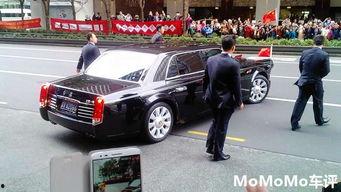 红旗吃瓜群众,揭秘网络舆论场的众生相