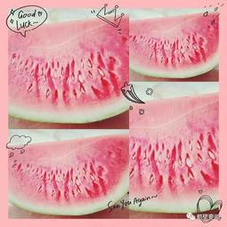 鹤壁最新吃瓜,揭秘当地热门事件背后的真相