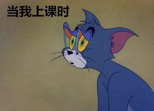 自己在家上课吃瓜,瓜田笑谈间