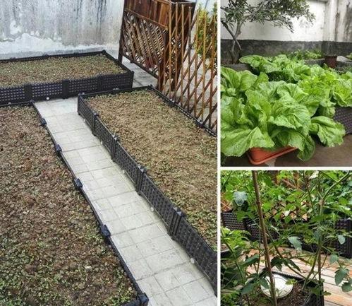 吃瓜视频楼顶,楼顶视角下的热门事件追踪