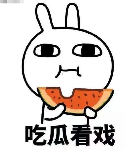 带你吃瓜食堂爸妈,爸妈的温馨美食故事