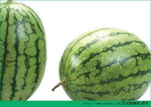 对瓜过敏可以吃瓜吗,瓜类过敏者能否安心享用