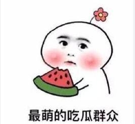 吃瓜群众朱美美,揭秘吃瓜群众的趣味生活