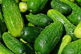 梦见吃瓜好难吃的瓜